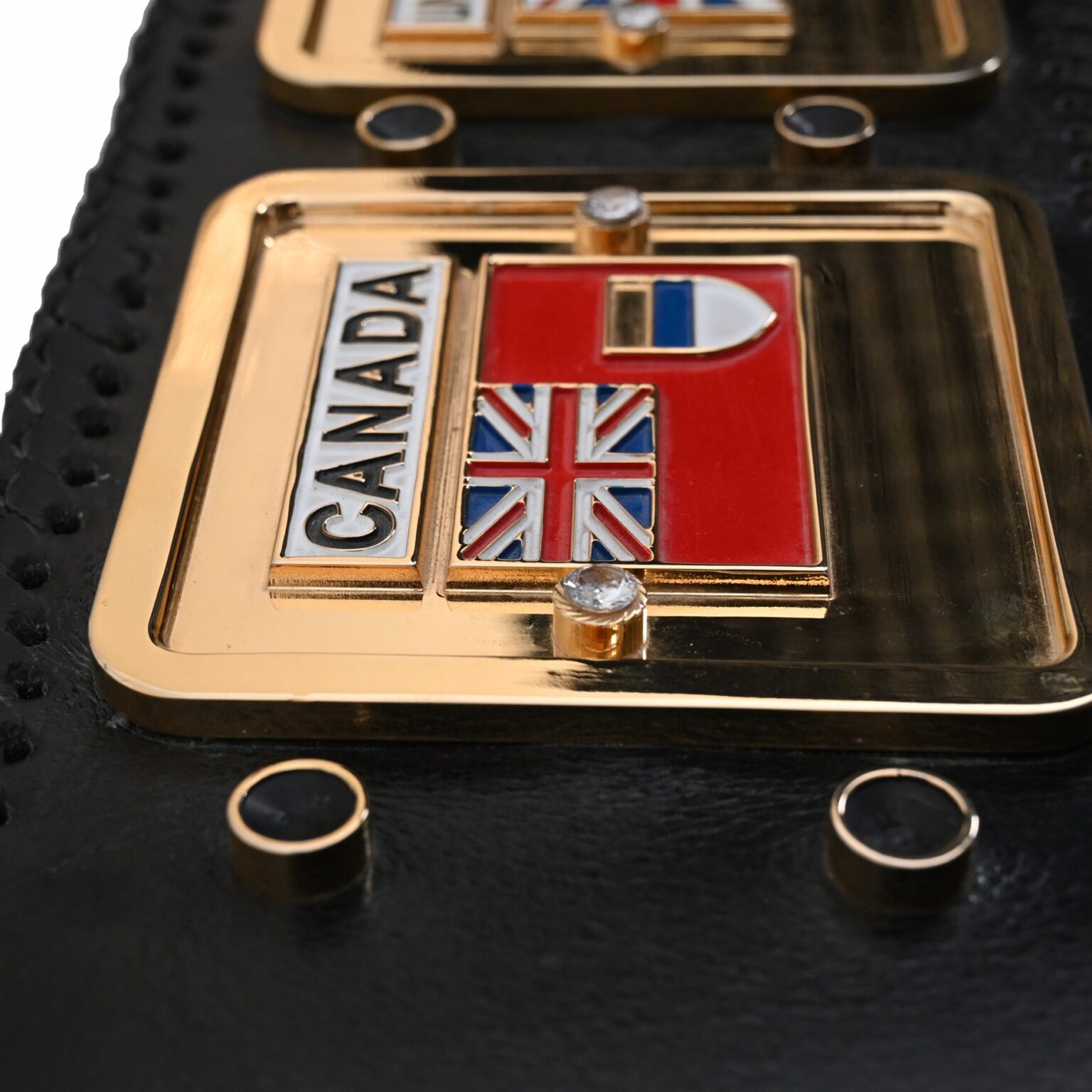 NWA Domed Globe Replica Champion Belt – Premium Collectible Trophy - BFW-CB-4014 - Image 4