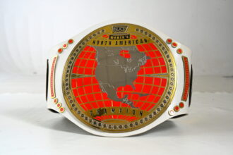 NXT Replica Champion Belt – Premium Collectible Trophy - BFW-CB-4019