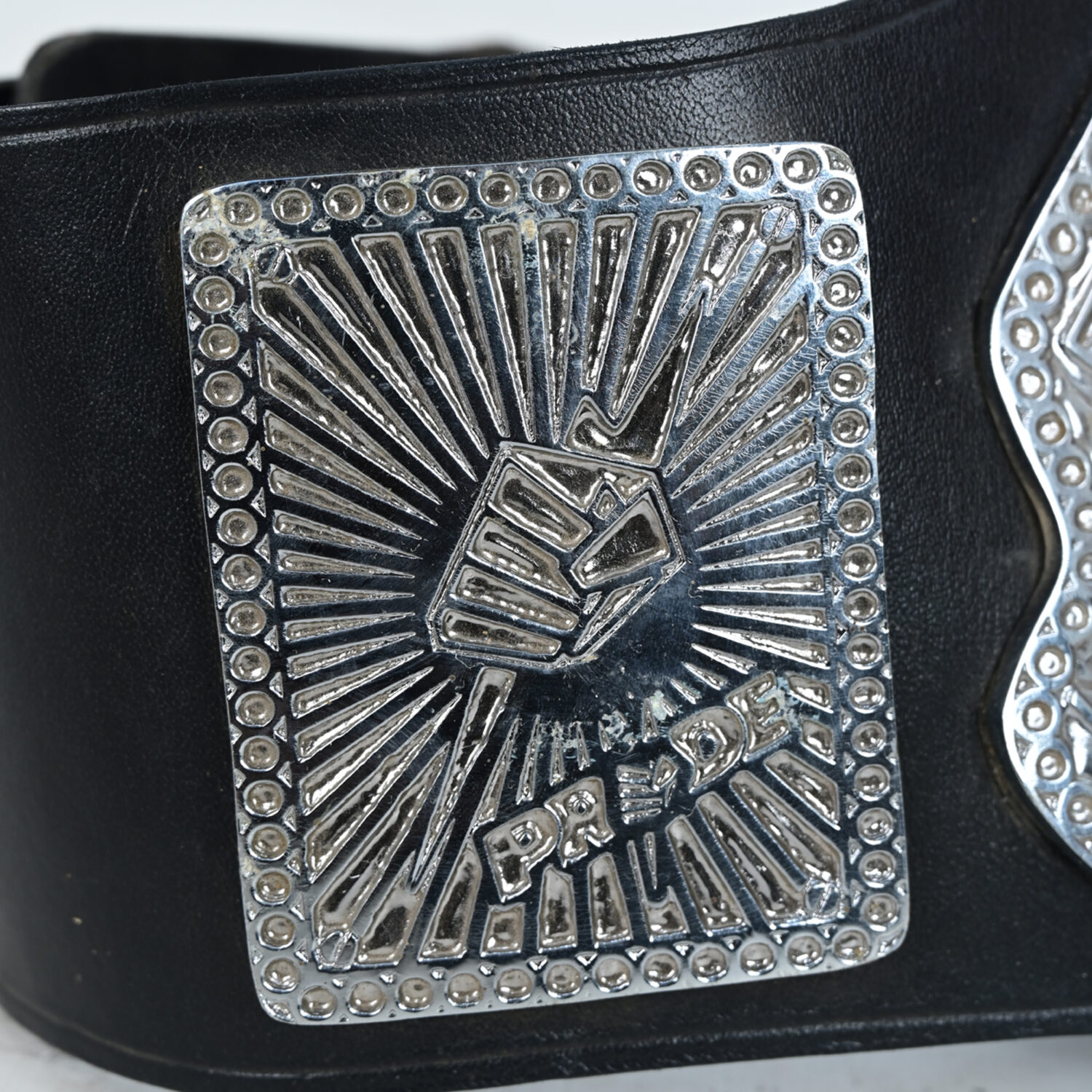 Pride Customised Champion Belt – Premium Personalised Design - BFW-CB-4018 - Image 5